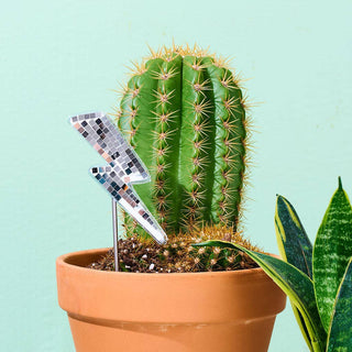 Disco Lightning Bolt Plant Stake