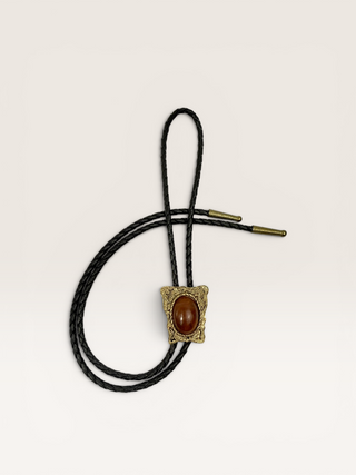 Vintage Brass and Carnelian Bezeled Bolo Tie