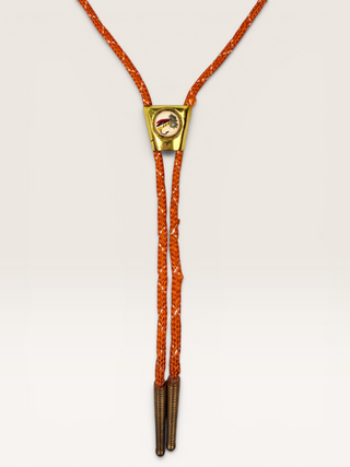 Vintage Fly Fishing Fly and Brass Bezel Bolo Tie