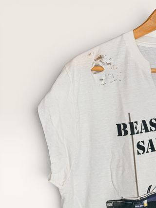 Beastie Boys Distressed Crop Top Chop Shop