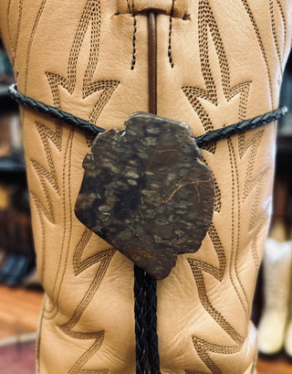 Large Brown Stone Bolo Tie